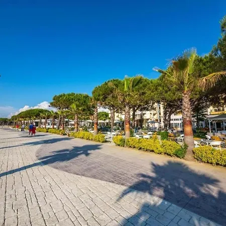 公寓 Ground Floor In Next To Flower Self Check In 100m To 格勒姆